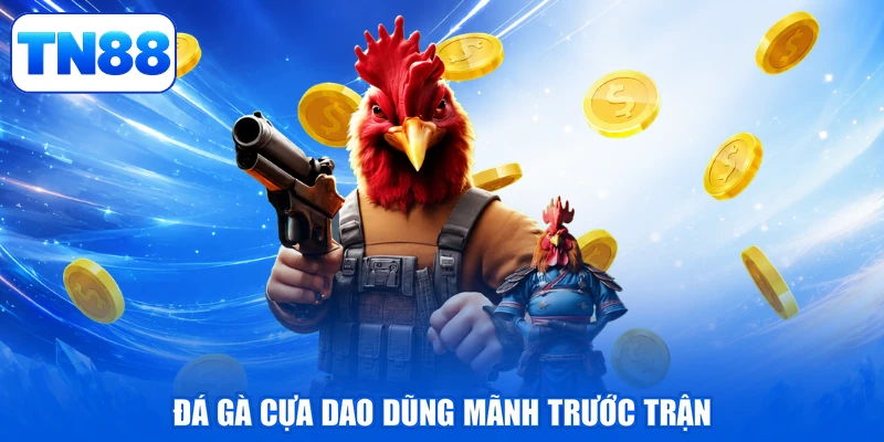 Đá Gà Cựa Dao - Tranh Tài Nảy Lửa, Thắng Lớn Liền Tay 2 Đá gà cựa dao dũng mãnh trước trận