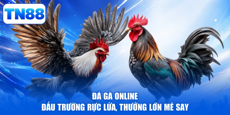 Đá Gà Online - Đấu Trường Rực Lửa, Thưởng Lớn Mê Say 1 Đá Gà Online - Đấu Trường Rực Lửa, Thưởng Lớn Mê Say